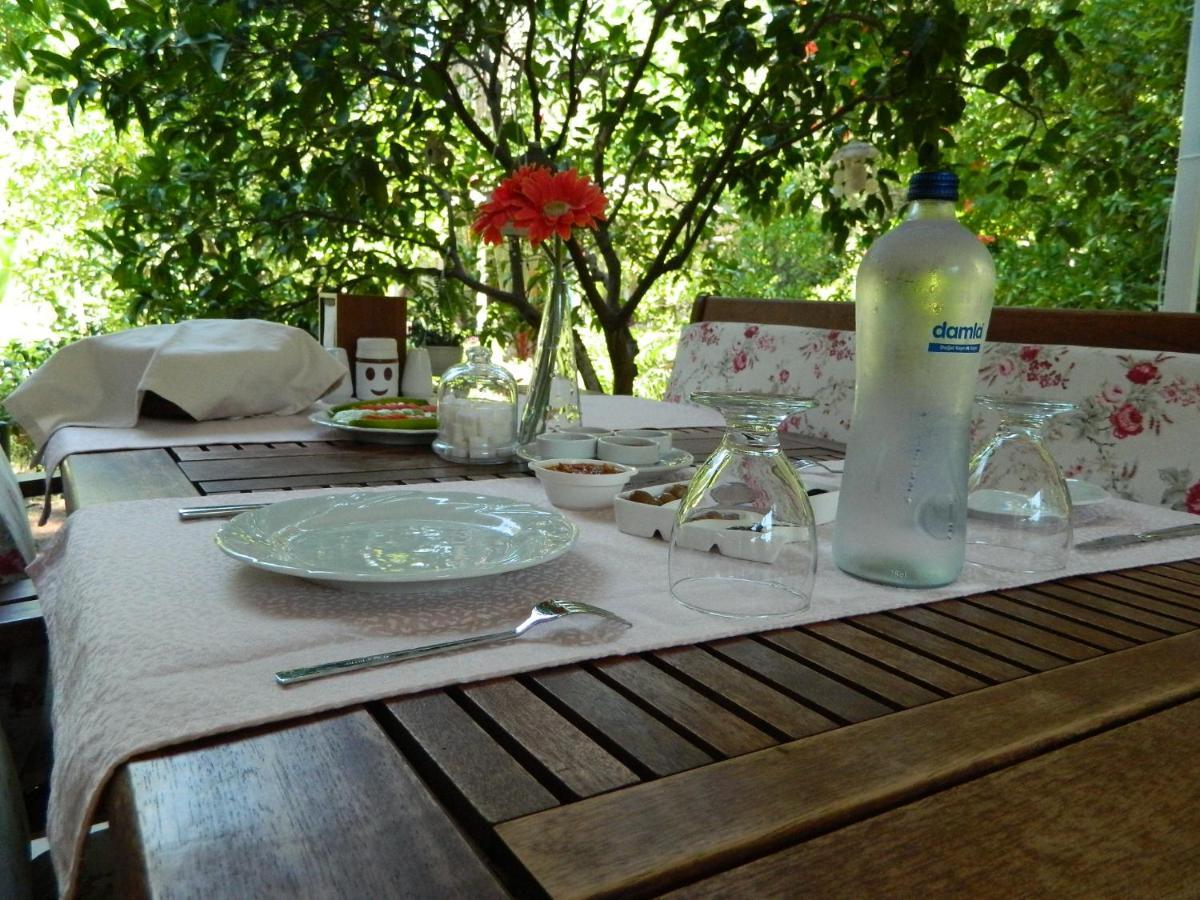 Adabella Pension Cirali Exterior photo