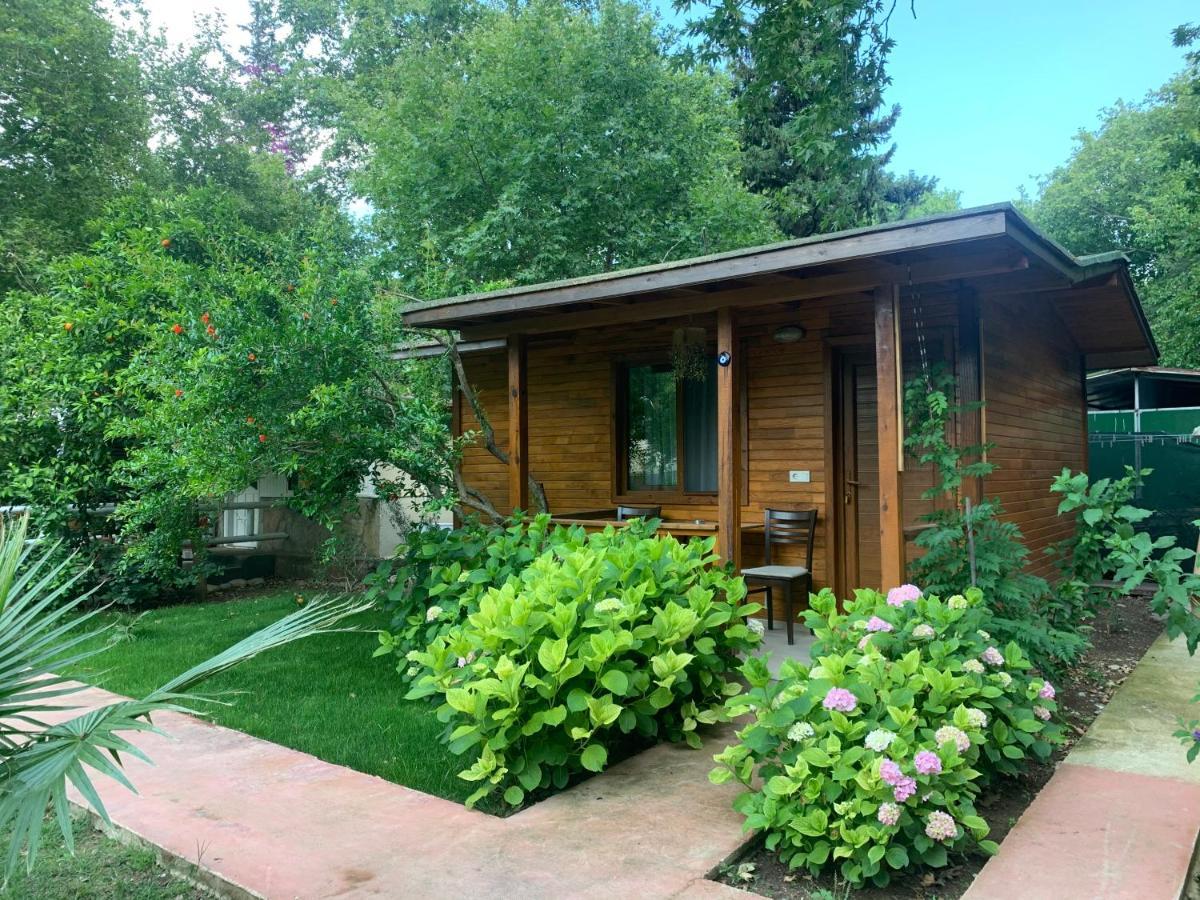 Adabella Pension Cirali Exterior photo