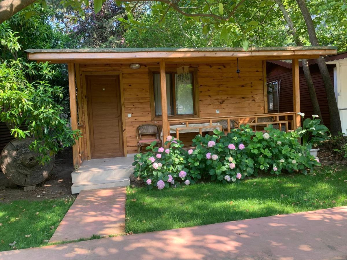 Adabella Pension Cirali Exterior photo