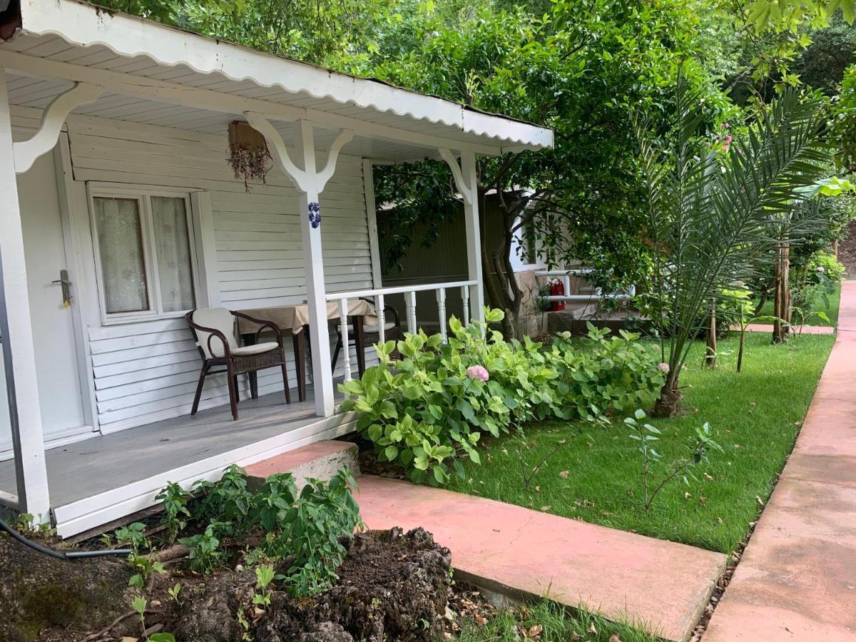 Adabella Pension Cirali Exterior photo