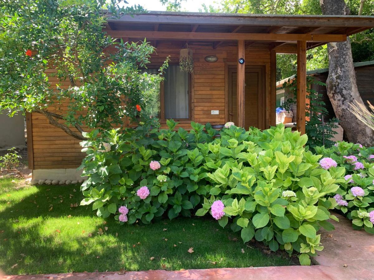 Adabella Pension Cirali Exterior photo