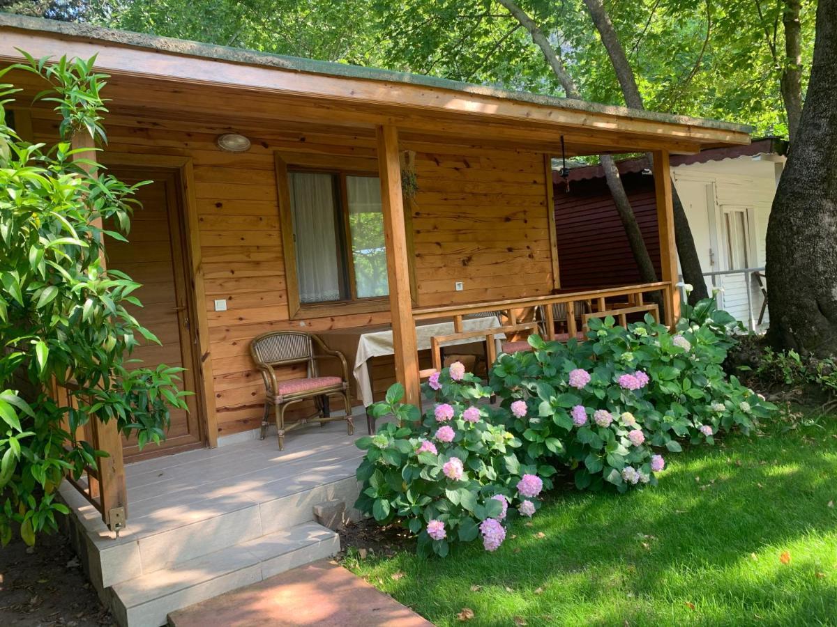 Adabella Pension Cirali Exterior photo