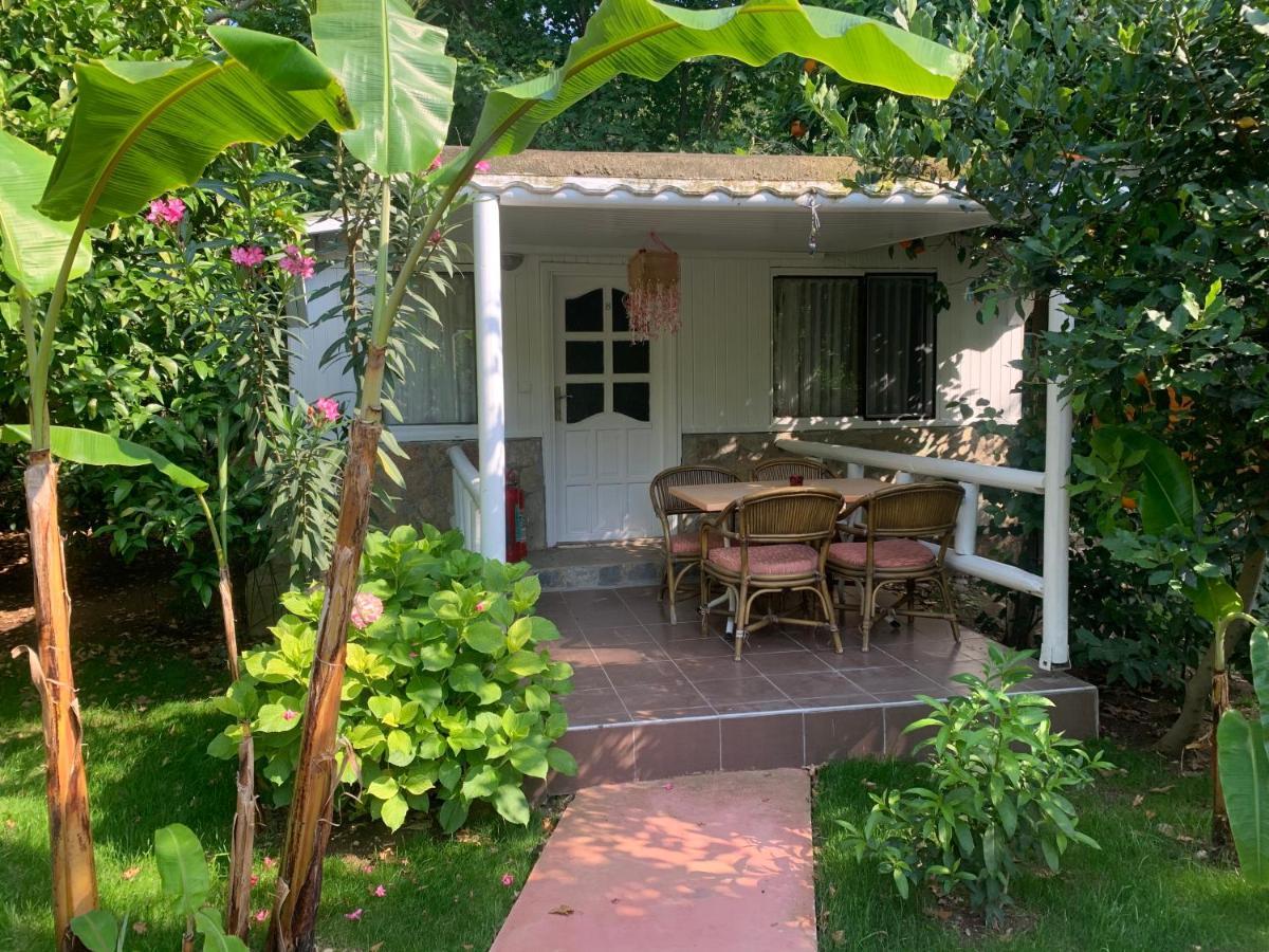 Adabella Pension Cirali Exterior photo